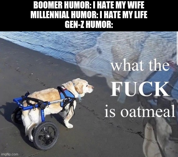 seriously tho | BOOMER HUMOR: I HATE MY WIFE
MILLENNIAL HUMOR: I HATE MY LIFE
GEN-Z HUMOR: | image tagged in what the f k is oatmeal | made w/ Imgflip meme maker