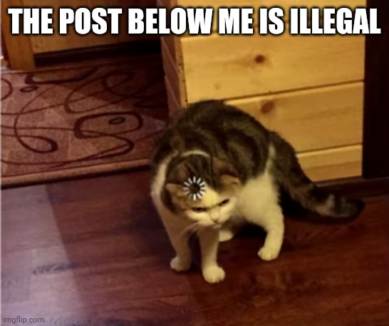 Loading Cat HD | THE POST BELOW ME IS ILLEGAL | image tagged in loading cat hd | made w/ Imgflip meme maker