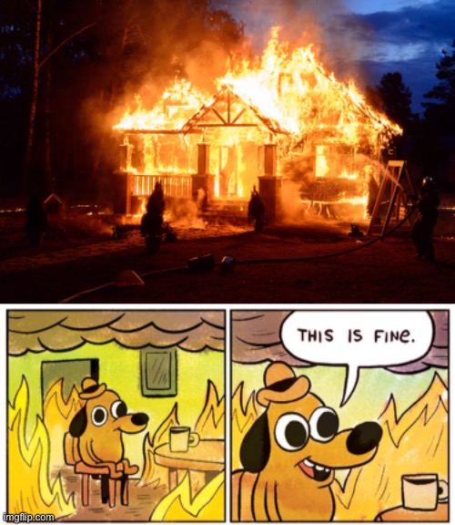 image tagged in memes,this is fine | made w/ Imgflip meme maker