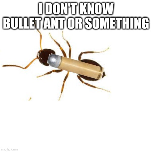 I don't know, bullet ant | I DON'T KNOW BULLET ANT OR SOMETHING | image tagged in question mark | made w/ Imgflip meme maker