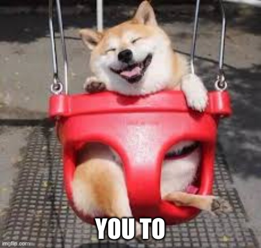 cute doggo | YOU TO | image tagged in cute doggo | made w/ Imgflip meme maker