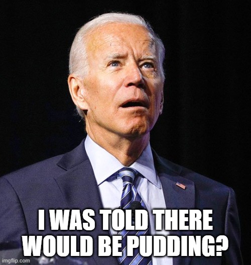 Joe Biden | I WAS TOLD THERE WOULD BE PUDDING? | image tagged in joe biden | made w/ Imgflip meme maker