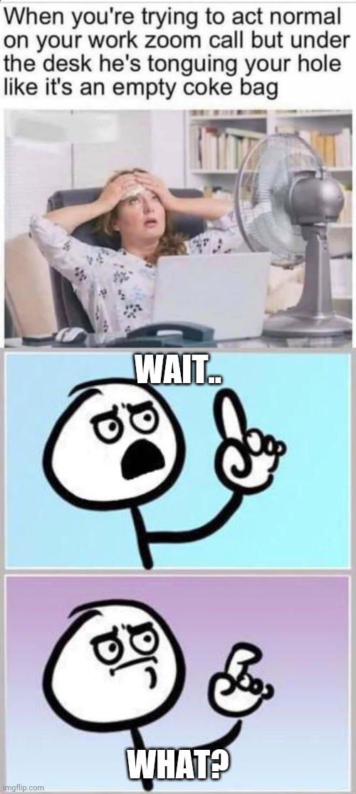 WAIT.. WHAT? | image tagged in wait what | made w/ Imgflip meme maker