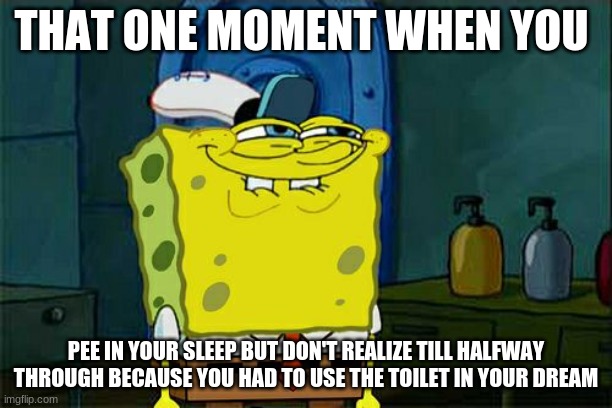 Don't You Squidward | THAT ONE MOMENT WHEN YOU; PEE IN YOUR SLEEP BUT DON'T REALIZE TILL HALFWAY THROUGH BECAUSE YOU HAD TO USE THE TOILET IN YOUR DREAM | image tagged in memes,don't you squidward | made w/ Imgflip meme maker