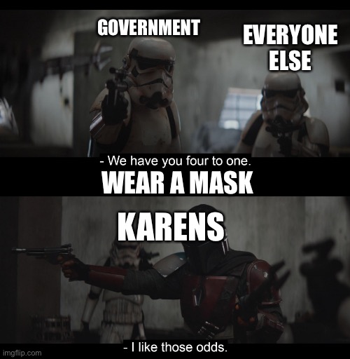 WeAr A mAsK | EVERYONE ELSE; GOVERNMENT; WEAR A MASK; KARENS | image tagged in four to one | made w/ Imgflip meme maker