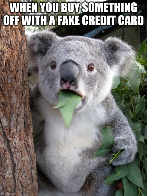 Surprised Koala | WHEN YOU BUY SOMETHING OFF WITH A FAKE CREDIT CARD | image tagged in memes,surprised koala | made w/ Imgflip meme maker