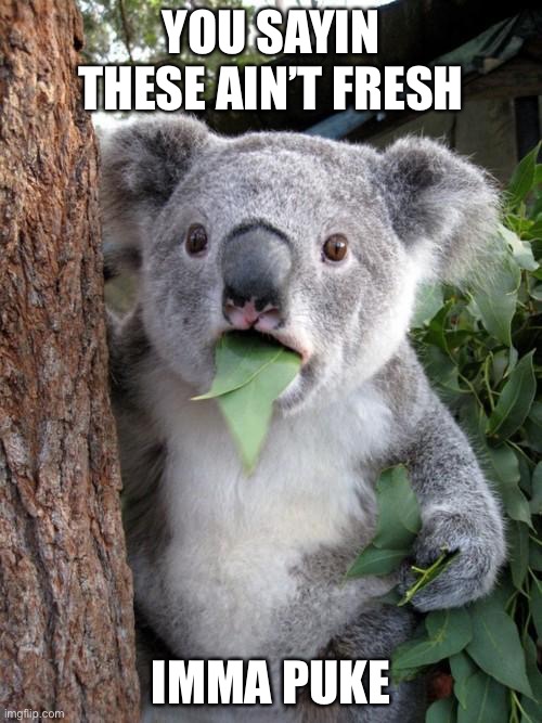 Surprised Koala | YOU SAYIN THESE AIN’T FRESH; IMMA PUKE | image tagged in memes,surprised koala | made w/ Imgflip meme maker