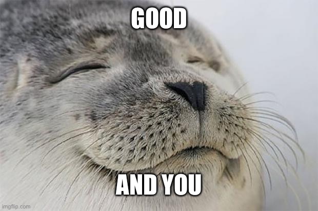 Satisfied Seal Meme | GOOD AND YOU | image tagged in memes,satisfied seal | made w/ Imgflip meme maker