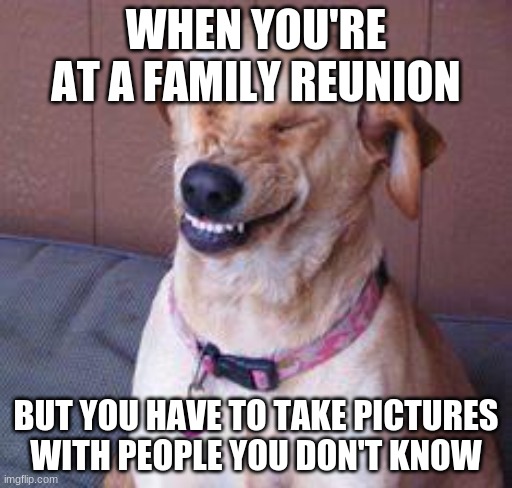 I mean-- | WHEN YOU'RE AT A FAMILY REUNION; BUT YOU HAVE TO TAKE PICTURES WITH PEOPLE YOU DON'T KNOW | image tagged in funny dog | made w/ Imgflip meme maker