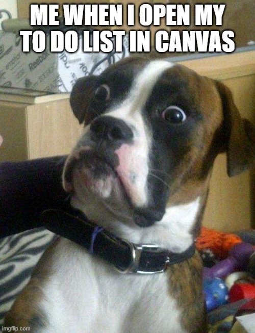Blankie the Shocked Dog | ME WHEN I OPEN MY TO DO LIST IN CANVAS | image tagged in blankie the shocked dog | made w/ Imgflip meme maker