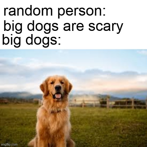 big dogs are not scary | random person: big dogs are scary; big dogs: | image tagged in memes,animals,funny,dog,dog meme,meme | made w/ Imgflip meme maker