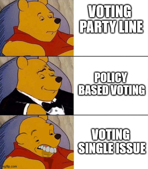 Best,Better, Blurst | VOTING 
PARTY LINE; POLICY 
BASED VOTING; VOTING 
SINGLE ISSUE | image tagged in best better blurst | made w/ Imgflip meme maker