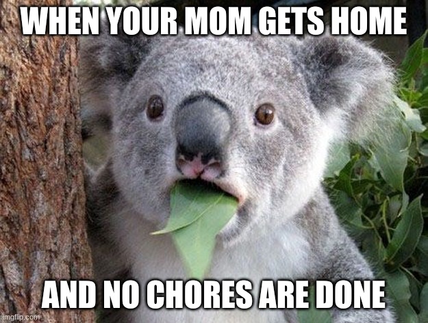 life | WHEN YOUR MOM GETS HOME; AND NO CHORES ARE DONE | image tagged in rfdsz | made w/ Imgflip meme maker