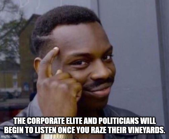 black guy pointing at head | THE CORPORATE ELITE AND POLITICIANS WILL BEGIN TO LISTEN ONCE YOU RAZE THEIR VINEYARDS. | image tagged in black guy pointing at head | made w/ Imgflip meme maker