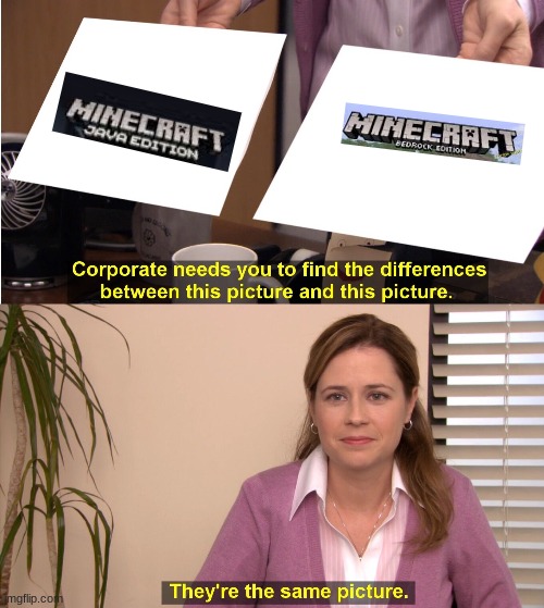 Minecraft is minecraft! | image tagged in memes,they're the same picture | made w/ Imgflip meme maker
