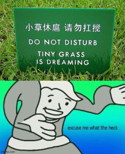 Hold up | image tagged in excuse me what the heck,memes,funny,stupid signs,do not disturb,grass | made w/ Imgflip meme maker