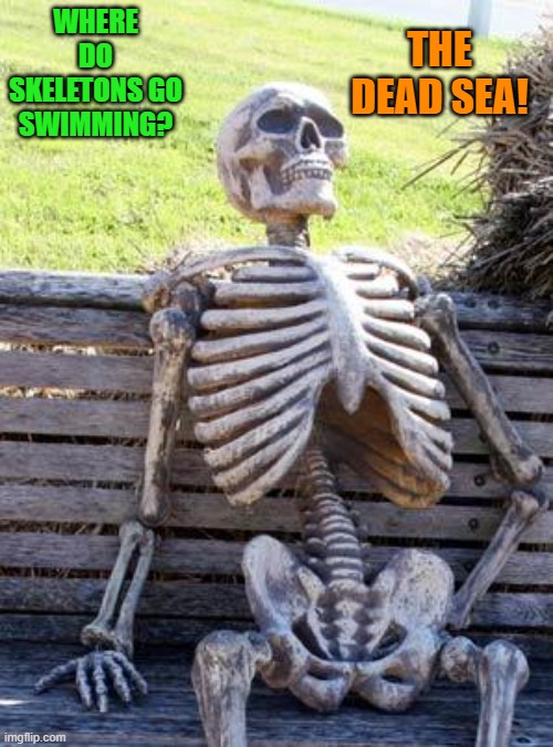 Waiting Skeleton | THE DEAD SEA! WHERE DO SKELETONS GO SWIMMING? | image tagged in memes,waiting skeleton | made w/ Imgflip meme maker
