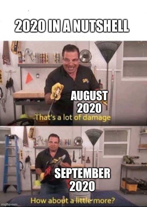 Now That's a lot of Damage | 2020 IN A NUTSHELL; AUGUST 2020; SEPTEMBER 2020 | image tagged in now that's a lot of damage | made w/ Imgflip meme maker