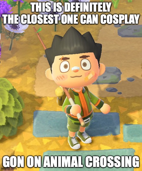 Gon on Animal Crossing | THIS IS DEFINITELY THE CLOSEST ONE CAN COSPLAY; GON ON ANIMAL CROSSING | image tagged in animal crossing,gon,memes,gaming | made w/ Imgflip meme maker