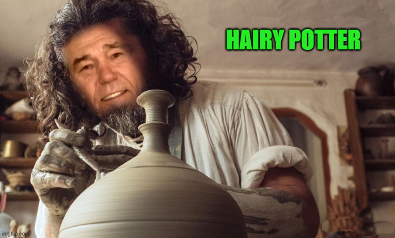 hairy potter | HAIRY POTTER | image tagged in hairy potter,kewlew | made w/ Imgflip meme maker
