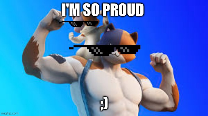 I'M SO PROUD; ;) | image tagged in cats are awesome | made w/ Imgflip meme maker