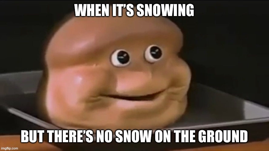 Ummm anyone else have this problem | WHEN IT’S SNOWING; BUT THERE’S NO SNOW ON THE GROUND | image tagged in bruh,life is weird | made w/ Imgflip meme maker