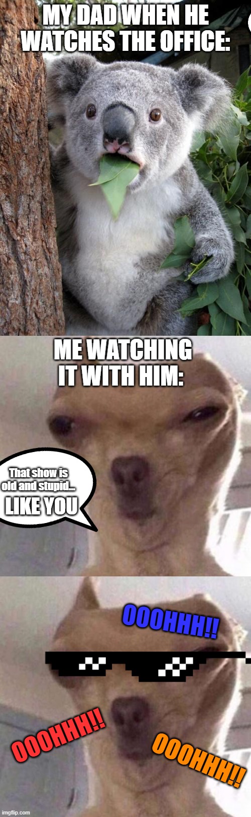 MY DAD WHEN HE WATCHES THE OFFICE:; ME WATCHING IT WITH HIM:; That show is old and stupid... LIKE YOU; OOOHHH!! OOOHHH!! OOOHHH!! | image tagged in memes,surprised koala | made w/ Imgflip meme maker
