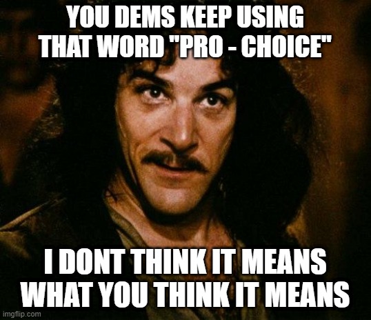 When it comes to school, energy and unions... | YOU DEMS KEEP USING THAT WORD "PRO - CHOICE"; I DONT THINK IT MEANS WHAT YOU THINK IT MEANS | image tagged in memes,inigo montoya | made w/ Imgflip meme maker