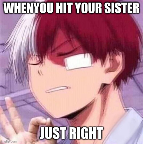 Todoroki | WHENYOU HIT YOUR SISTER; JUST RIGHT | image tagged in todoroki | made w/ Imgflip meme maker