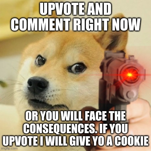 Doge holding a gun | UPVOTE AND COMMENT RIGHT NOW; OR YOU WILL FACE THE CONSEQUENCES. IF YOU UPVOTE I WILL GIVE YO A COOKIE | image tagged in doge holding a gun | made w/ Imgflip meme maker