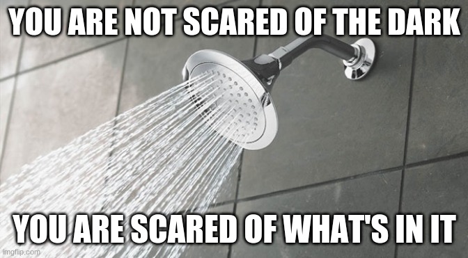 Whoa | YOU ARE NOT SCARED OF THE DARK; YOU ARE SCARED OF WHAT'S IN IT | image tagged in shower thoughts | made w/ Imgflip meme maker