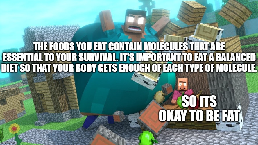 I'm fat but it's ok. I love myself. | THE FOODS YOU EAT CONTAIN MOLECULES THAT ARE ESSENTIAL TO YOUR SURVIVAL. IT'S IMPORTANT TO EAT A BALANCED DIET SO THAT YOUR BODY GETS ENOUGH OF EACH TYPE OF MOLECULE. SO ITS OKAY TO BE FAT | image tagged in smash da wall fat herobrine | made w/ Imgflip meme maker
