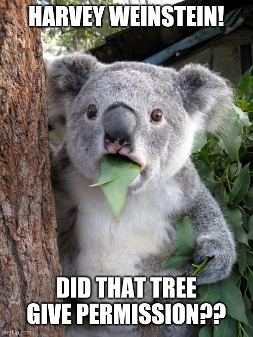 Surprised Koala | HARVEY WEINSTEIN! DID THAT TREE GIVE PERMISSION?? | image tagged in memes,surprised koala | made w/ Imgflip meme maker