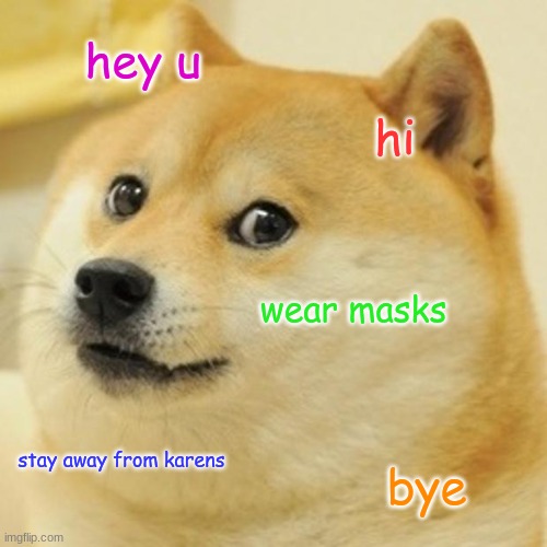 Doge | hey u; hi; wear masks; stay away from karens; bye | image tagged in memes,doge | made w/ Imgflip meme maker