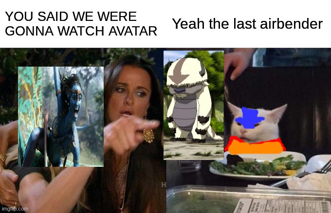 Avatar The last catbender | YOU SAID WE WERE GONNA WATCH AVATAR; Yeah the last airbender | image tagged in memes,woman yelling at cat | made w/ Imgflip meme maker