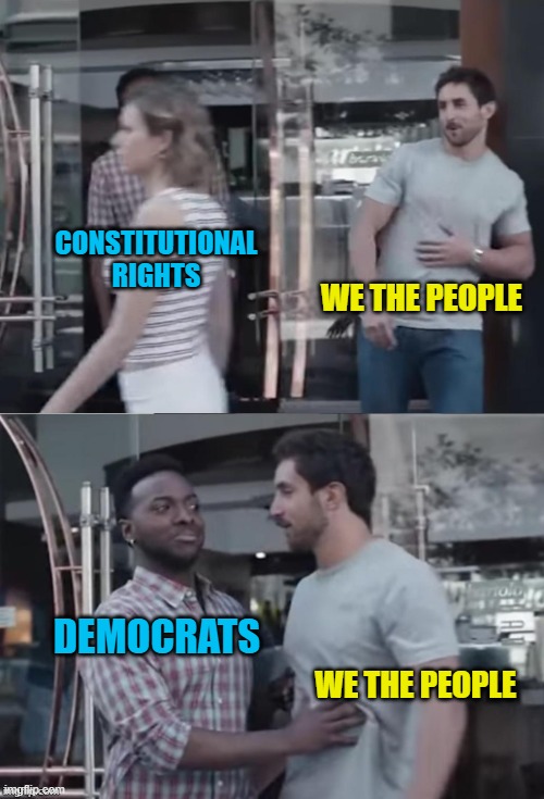 Bro not cool |  CONSTITUTIONAL RIGHTS; WE THE PEOPLE; DEMOCRATS; WE THE PEOPLE | image tagged in bro not cool | made w/ Imgflip meme maker