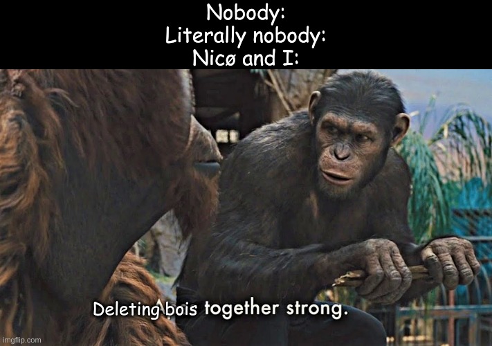 Basically we both have deleted a shit ton | Nobody:
Literally nobody:
Nicø and I:; Deleting bois | image tagged in ape together strong | made w/ Imgflip meme maker