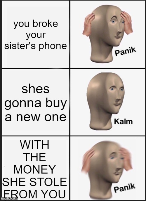 me broke swissy phone | you broke your sister's phone; shes gonna buy a new one; WITH THE MONEY SHE STOLE FROM YOU | image tagged in memes,panik kalm panik,fyp | made w/ Imgflip meme maker