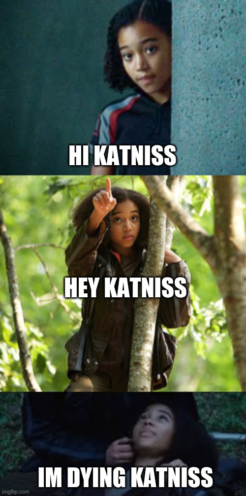 hi katniss | HI KATNISS; HEY KATNISS; IM DYING KATNISS | image tagged in hunger games | made w/ Imgflip meme maker
