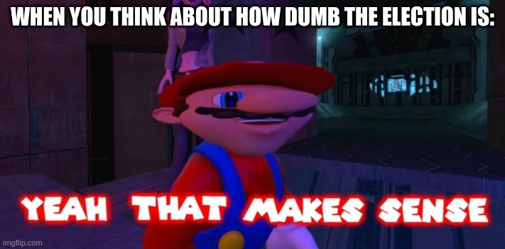 this is true | WHEN YOU THINK ABOUT HOW DUMB THE ELECTION IS: | image tagged in mario that make sense | made w/ Imgflip meme maker