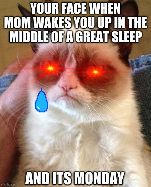 Grumpy Cat | YOUR FACE WHEN MOM WAKES YOU UP IN THE MIDDLE OF A GREAT SLEEP; AND ITS MONDAY | image tagged in memes,grumpy cat | made w/ Imgflip meme maker