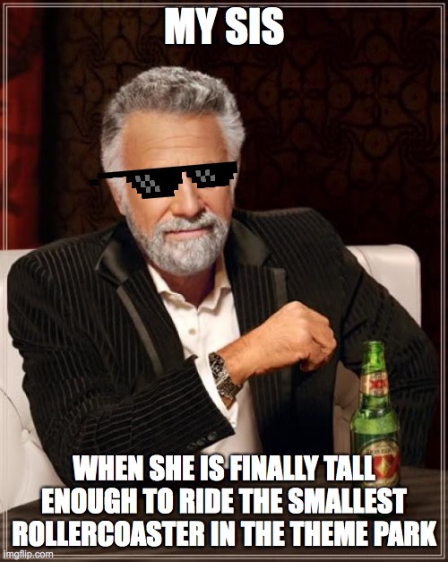 The Most Interesting Man In The World | MY SIS; WHEN SHE IS FINALLY TALL ENOUGH TO RIDE THE SMALLEST ROLLERCOASTER IN THE THEME PARK | image tagged in memes,the most interesting man in the world | made w/ Imgflip meme maker