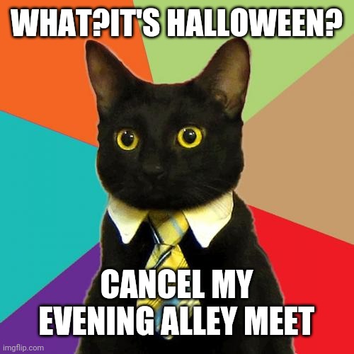 Business Cat Meme | WHAT?IT'S HALLOWEEN? CANCEL MY EVENING ALLEY MEET | image tagged in memes,business cat | made w/ Imgflip meme maker