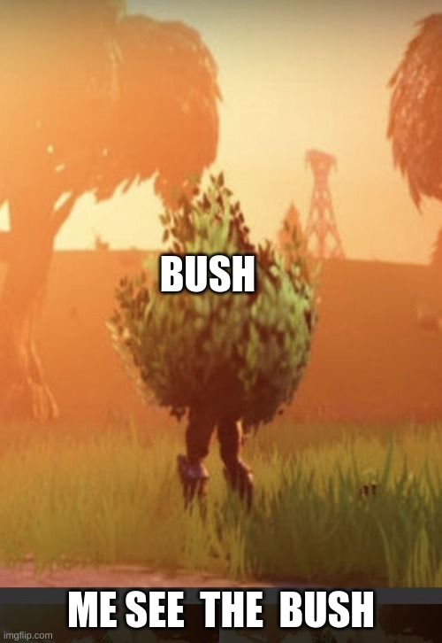 Fortnite bush | BUSH; ME SEE  THE  BUSH | image tagged in fortnite bush | made w/ Imgflip meme maker