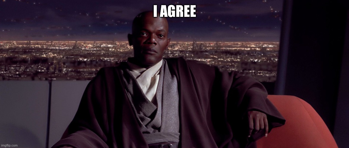 Mace Windu I agree | I AGREE | image tagged in mace windu i agree | made w/ Imgflip meme maker