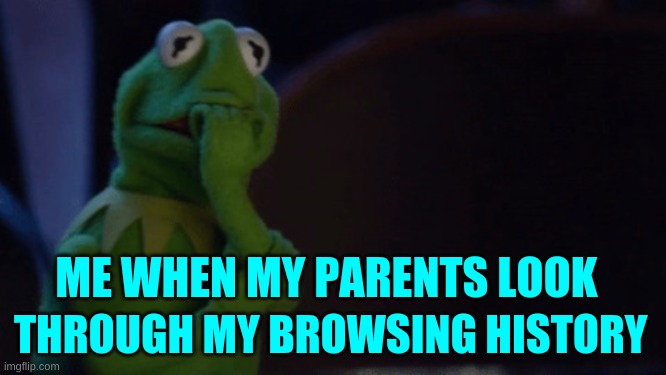 Nervous Kermit | ME WHEN MY PARENTS LOOK; THROUGH MY BROWSING HISTORY | image tagged in nervous kermit,meme,funny,nervous af | made w/ Imgflip meme maker