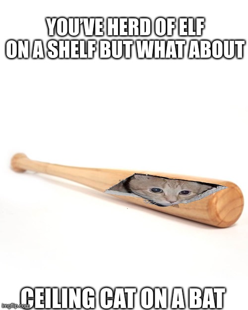 Ceiling cat on a bat | YOU’VE HERD OF ELF ON A SHELF BUT WHAT ABOUT; CEILING CAT ON A BAT | image tagged in baseball bat,ceiling cat | made w/ Imgflip meme maker