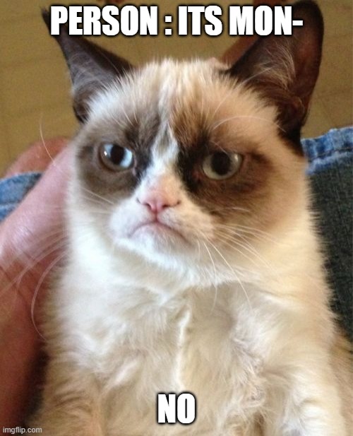 Grumpy Cat Meme | PERSON : ITS MON-; NO | image tagged in memes,grumpy cat | made w/ Imgflip meme maker