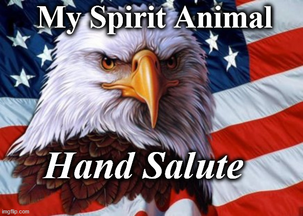 eagle | My Spirit Animal; Hand Salute | image tagged in eagle | made w/ Imgflip meme maker