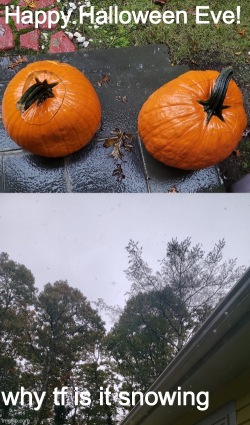 happy halloween ya'll.... | Happy Halloween Eve! why tf is it snowing | image tagged in halloween,snow,memes,funny,pumpkin spice | made w/ Imgflip meme maker